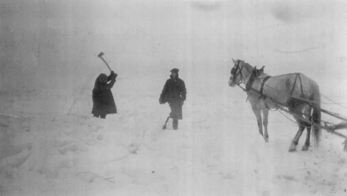 Two people work in deep snow beside a harnessed horse pulling a long wooden implement.