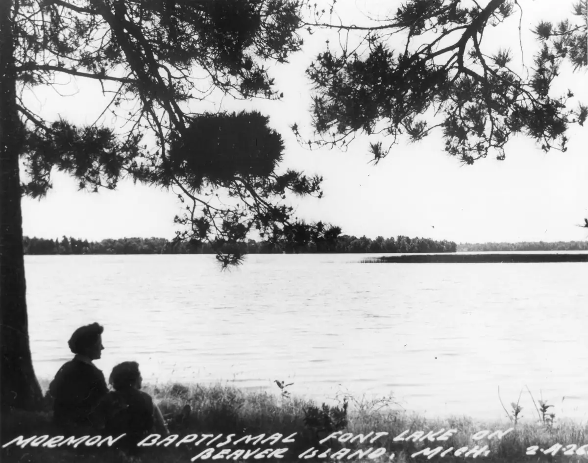 Two people sit beneath a pine tree beside calm water, with a distant tree-lined shore.