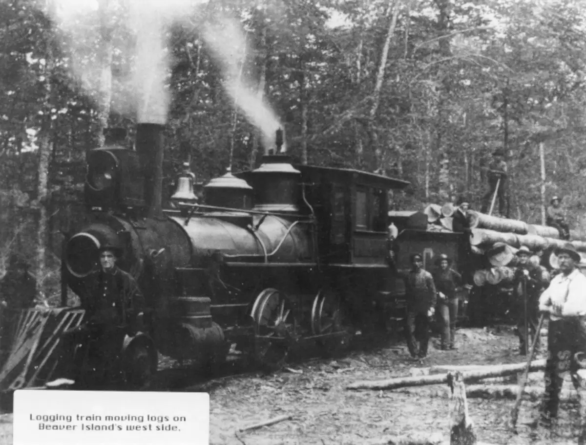 A steam locomotive and log cars stand among trees while a group of people gathers nearby.