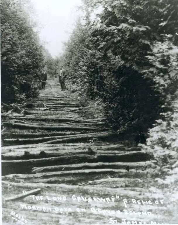 A wooded path covered with fallen logs, with two people standing farther along it.