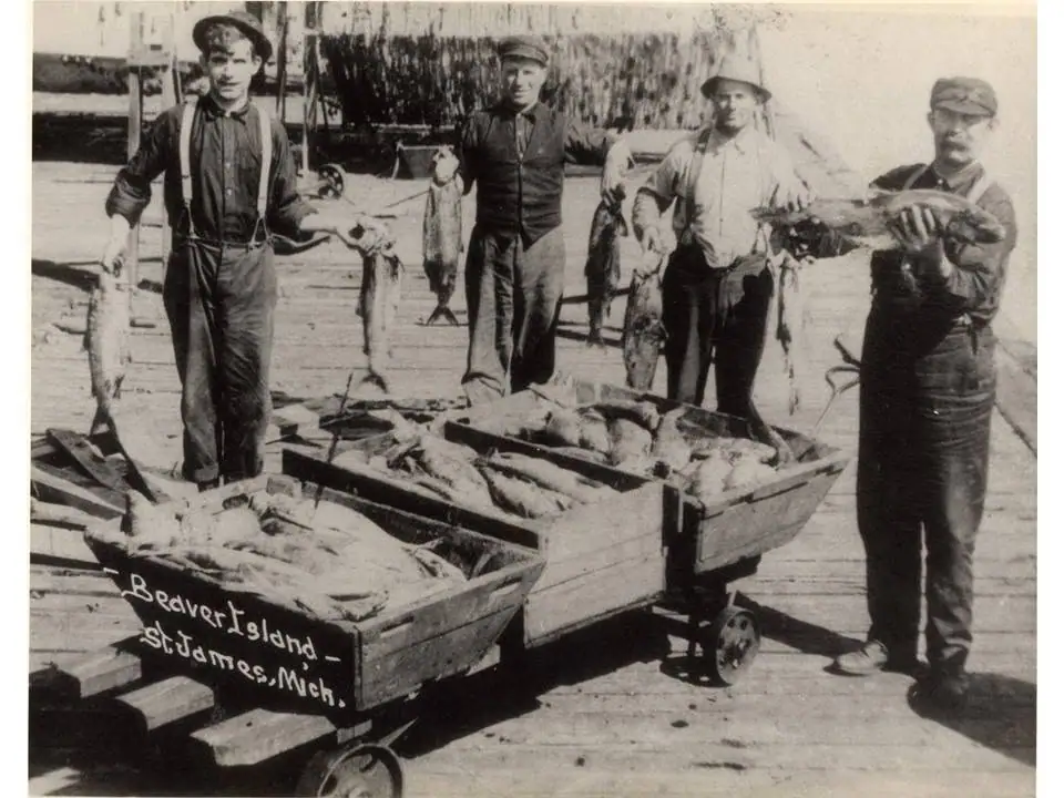 Four men display fish beside two loaded wooden carts on a dock.