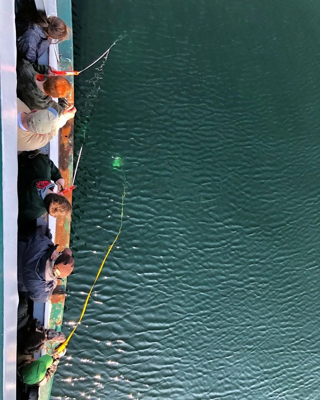 Several people lean over a vessel's railing while lowering a line and disk into rippled water.