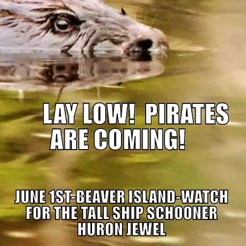 A beaver floats at the water’s surface above bold text announcing an approaching schooner.