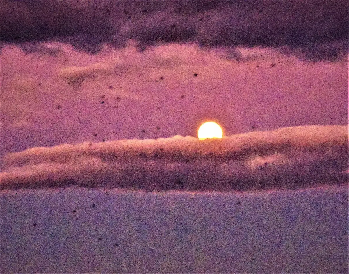 Low sun glowing through layered purple and pink clouds at sunset.