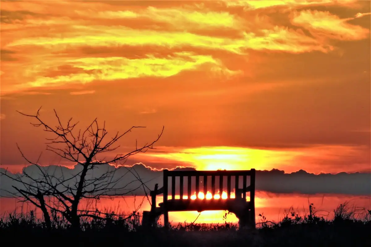 Silhouetted bench and leafless tree frame a glowing sunset over reflective water.