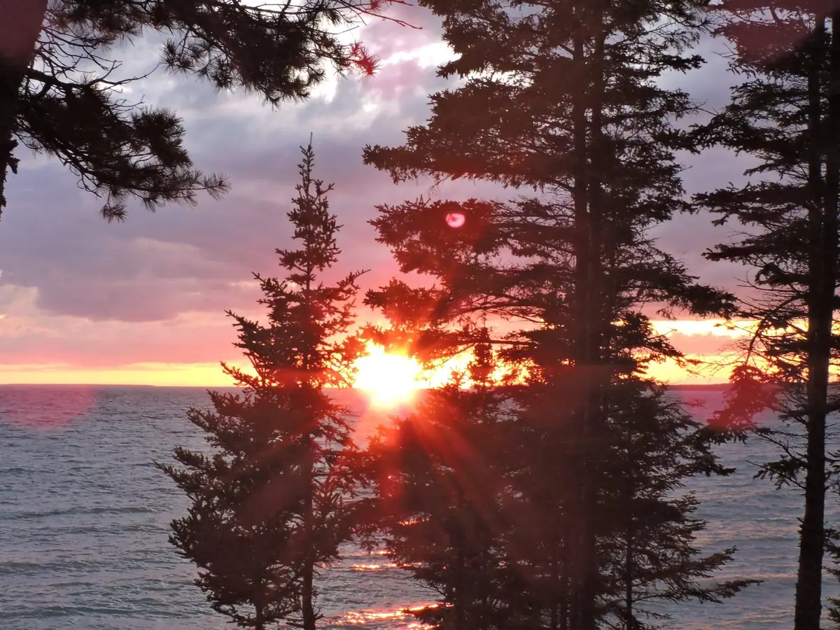 Sunset over rippling water, framed by silhouetted evergreen trees.