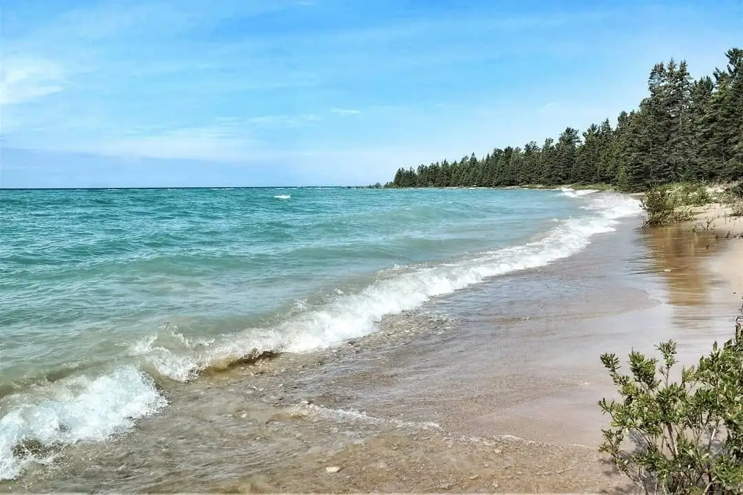 Waves roll onto a sandy shoreline beside a dense evergreen forest under a blue sky.