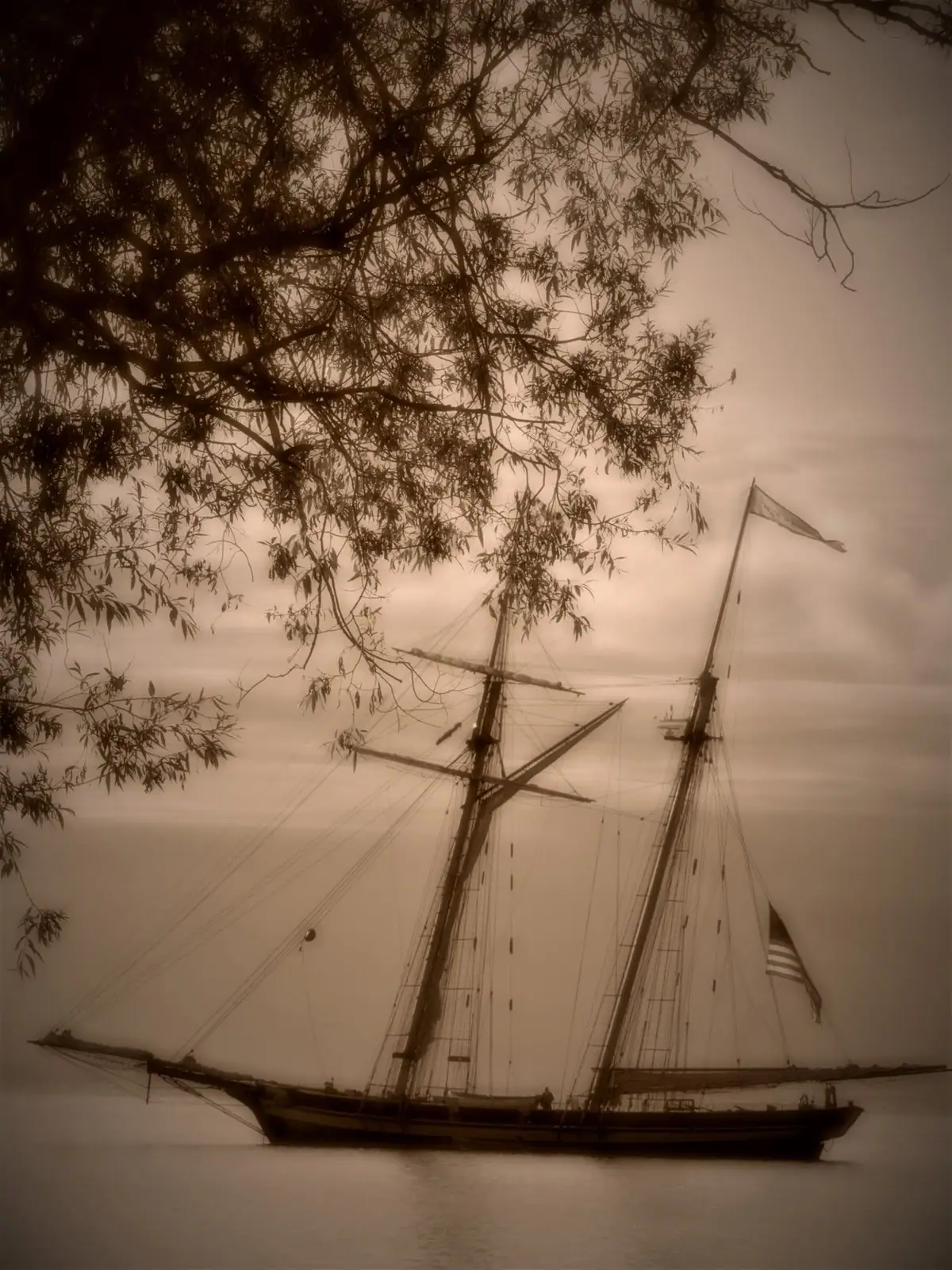 A sepia-toned tall sailing vessel with furled sails and flags, seen through overhanging tree branches.