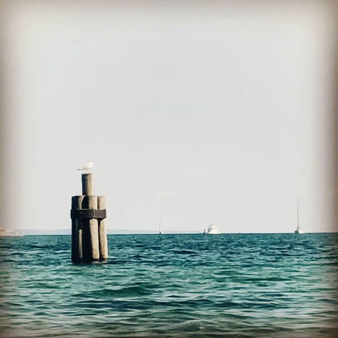 A gull perches on a dark water marker as small boats move across choppy water.