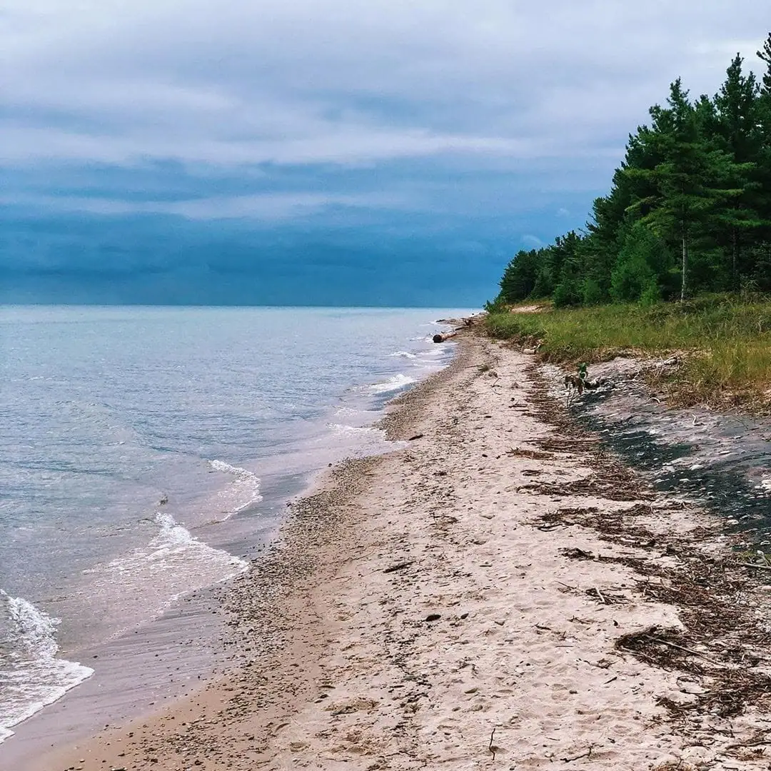 A sandy shoreline curves beside calm water and dense conifer forest beneath dark storm clouds.