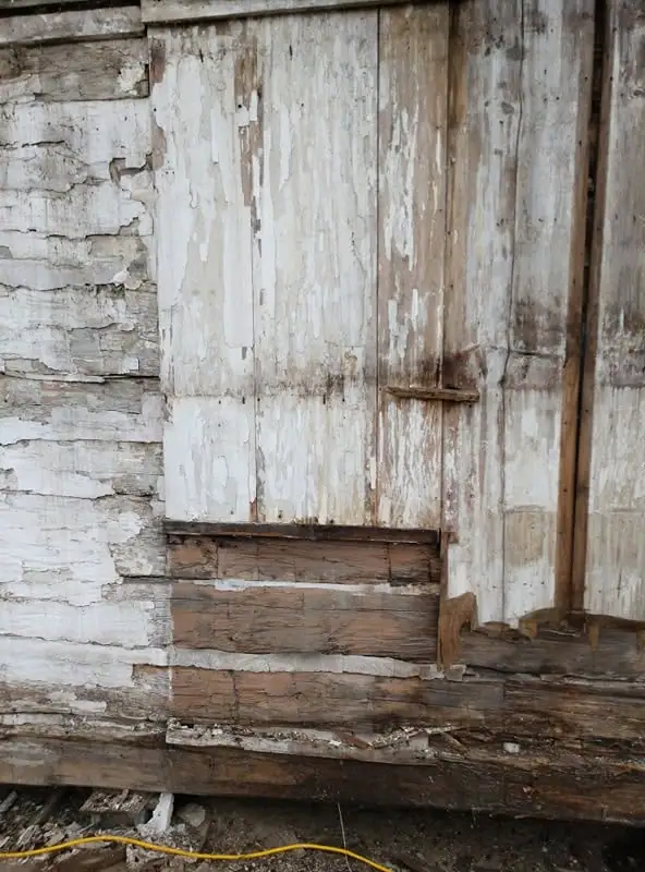 Close view of a weathered wooden wall with peeling white paint, exposed boards, and a yellow cable near the ground.