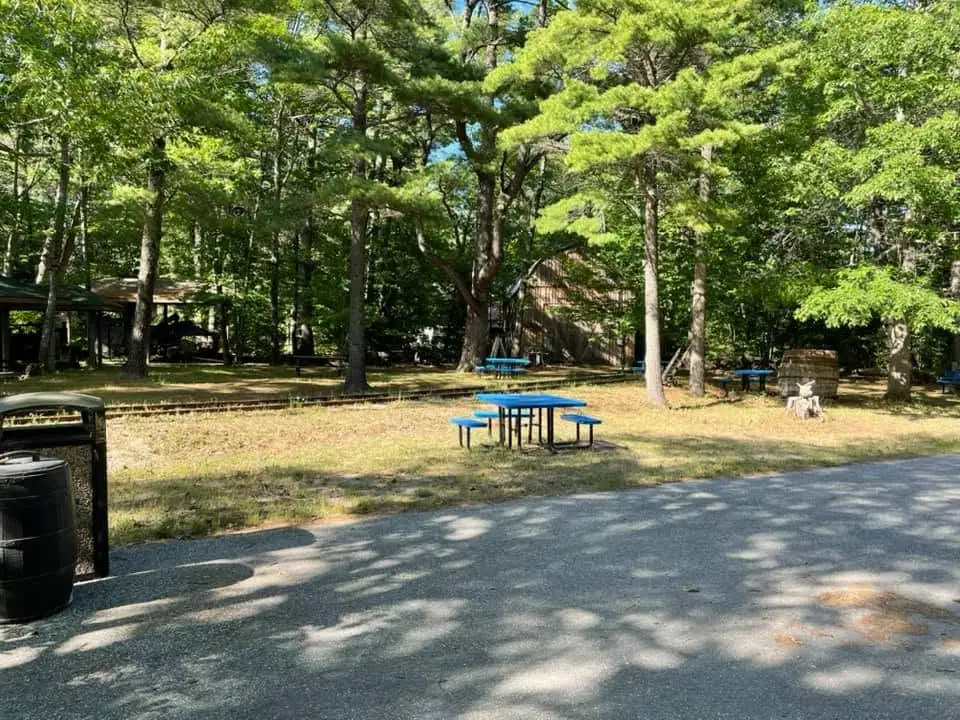 A paved path borders a shaded wooded area with blue picnic tables and a small rustic structure.