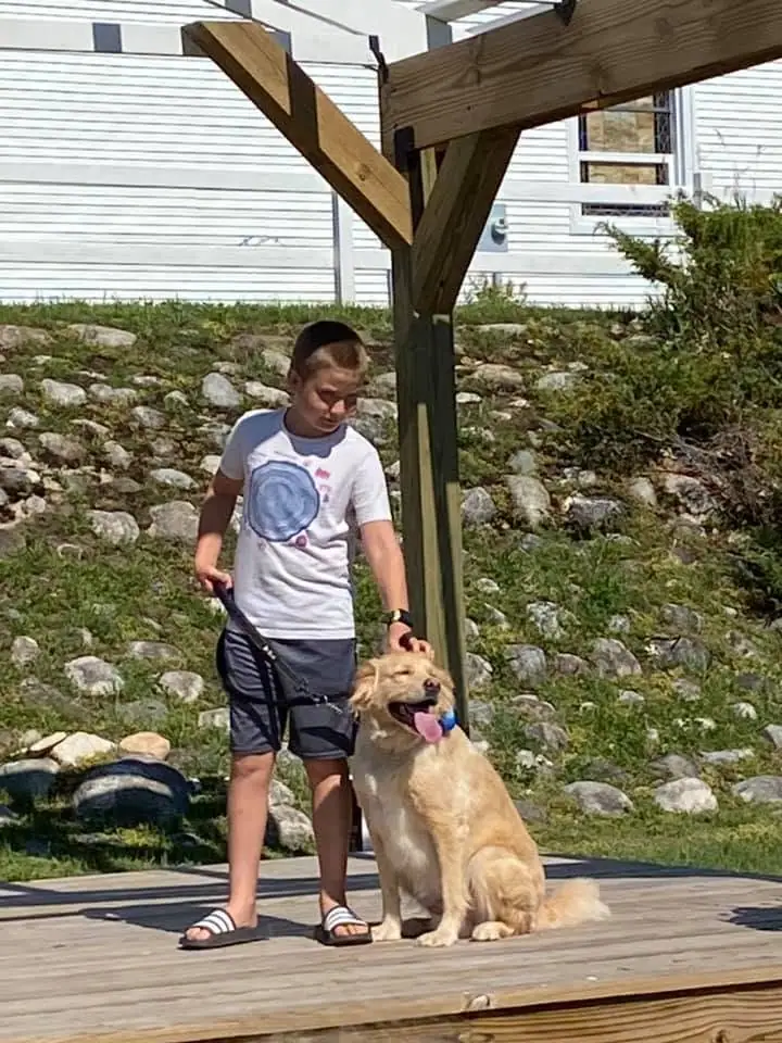A boy stands beside a seated golden retriever on a wooden deck.