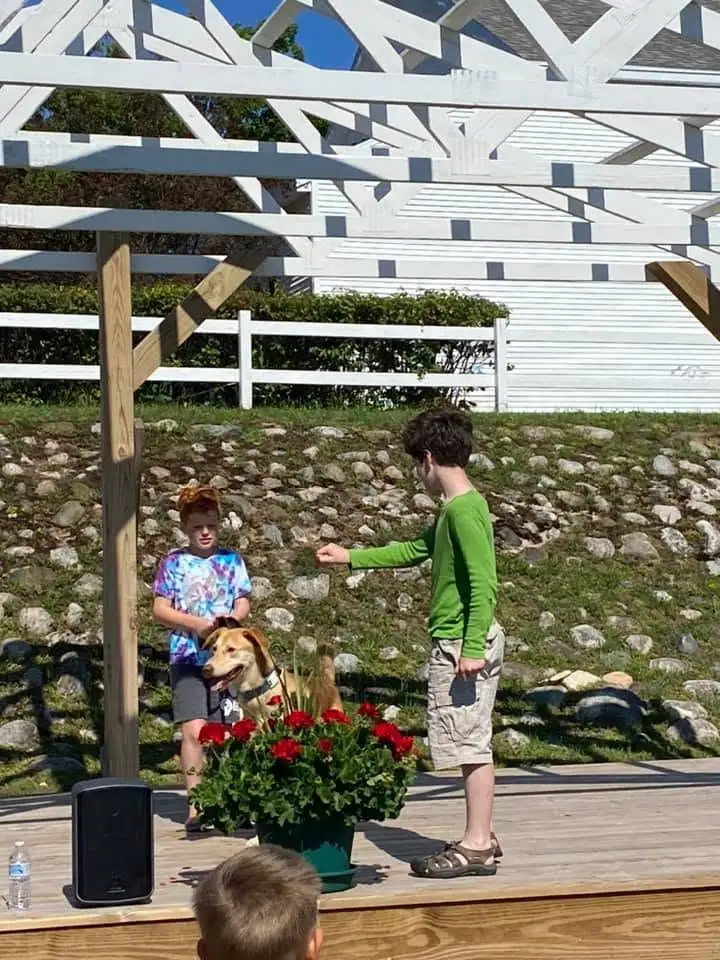 Two boys and a dog stand on a wooden stage beside a potted display of red flowers.