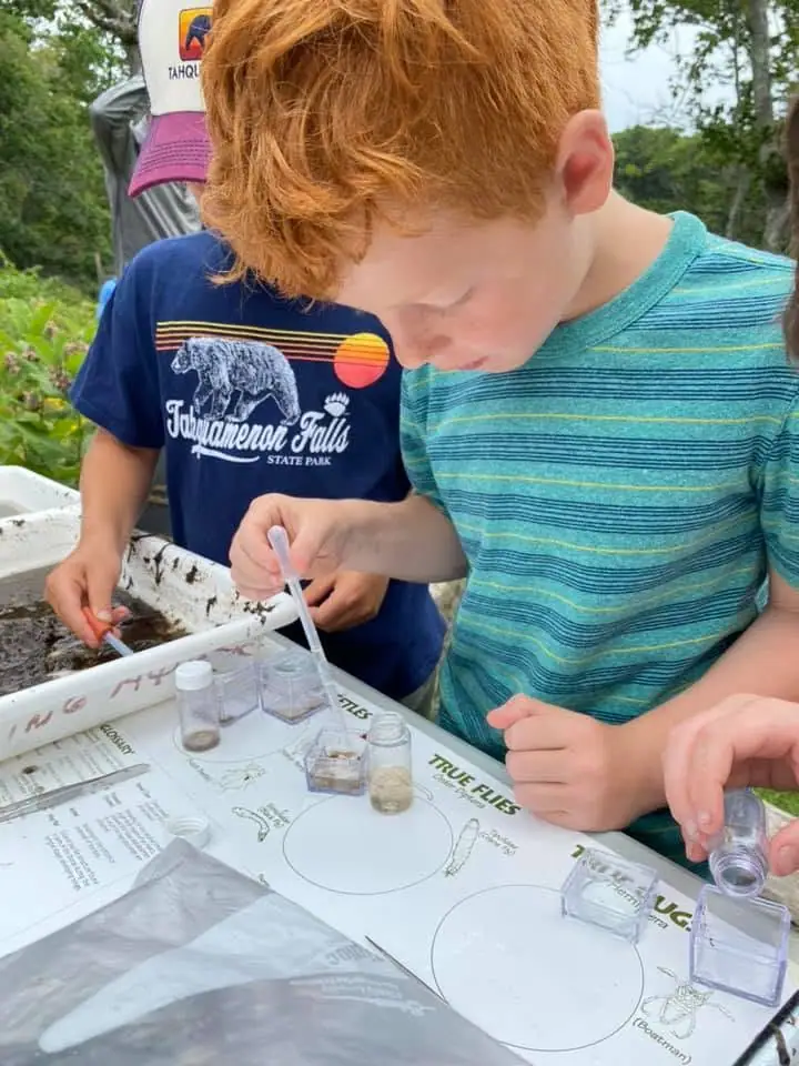 Children use pipettes and small containers to examine material at an outdoor science activity.