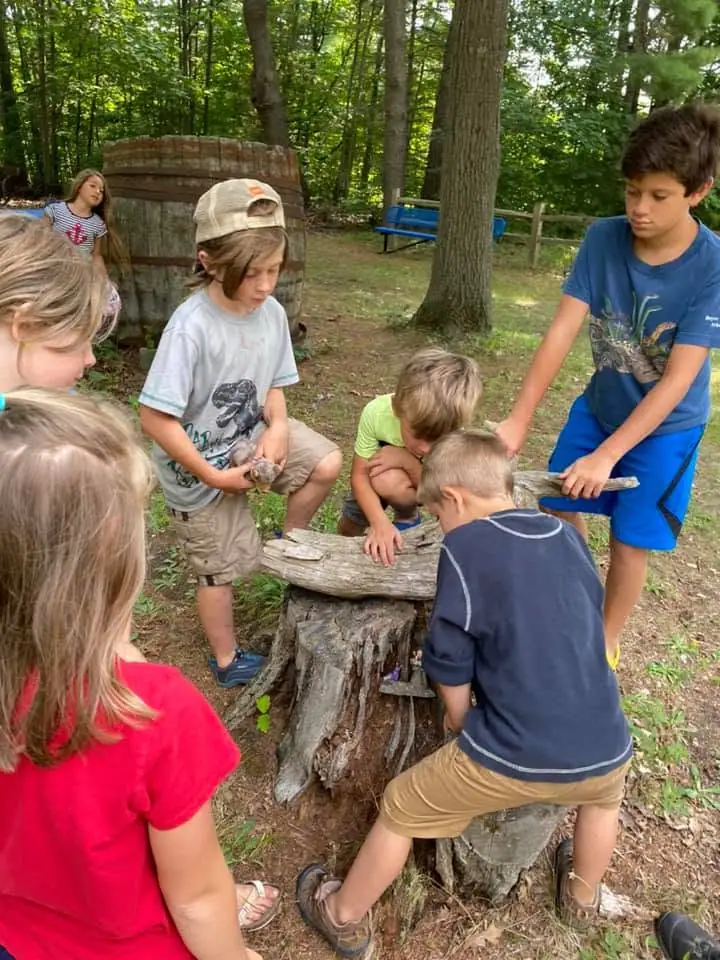 Children gather around a weathered tree stump in a wooded outdoor area.