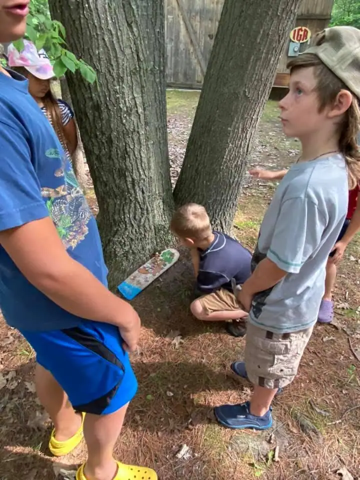 Children gather around a large tree beside a decorated skateboard in a wooded outdoor area.