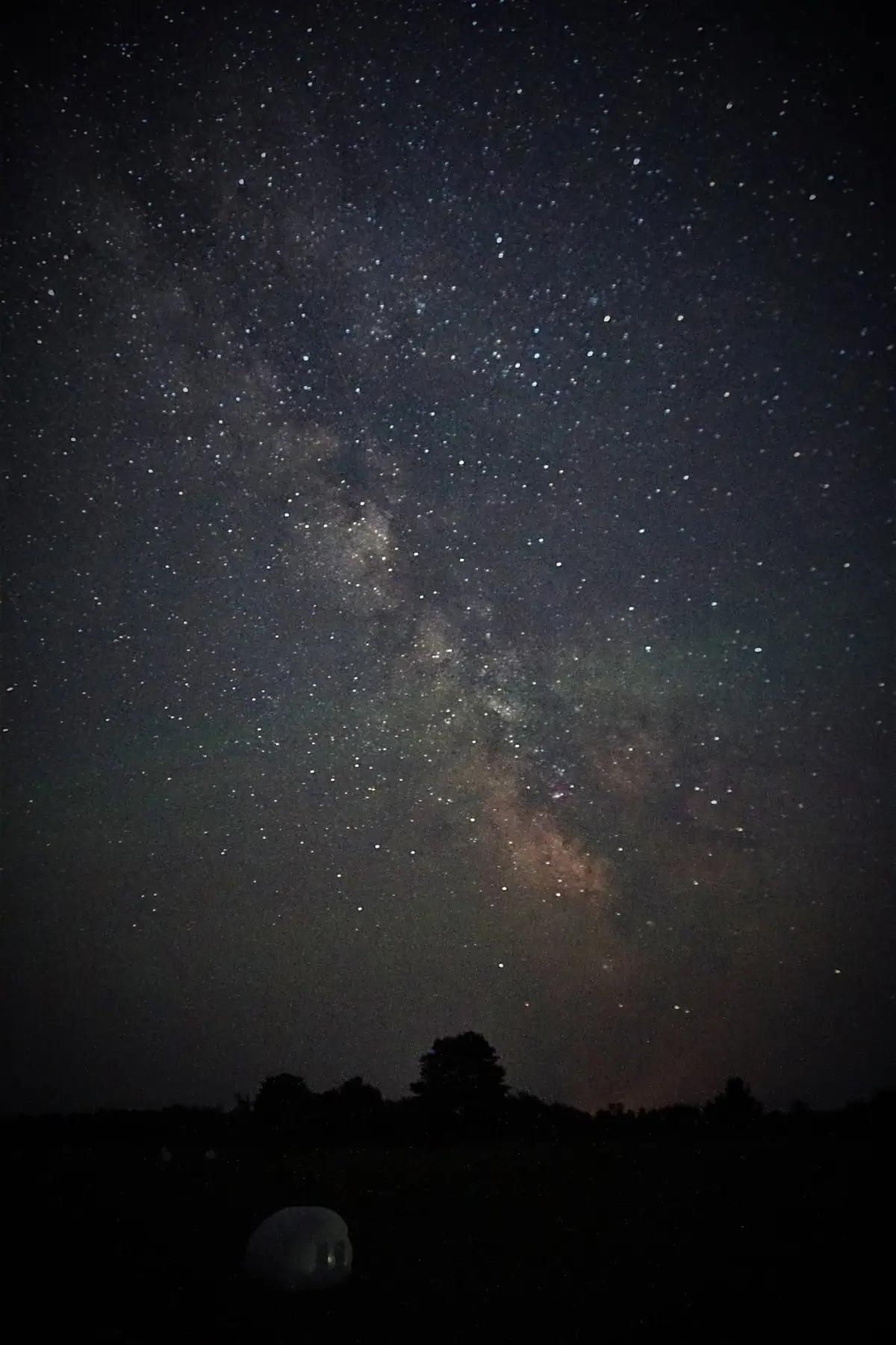 A star-filled night sky with the Milky Way above silhouetted trees and a small dome-shaped structure.