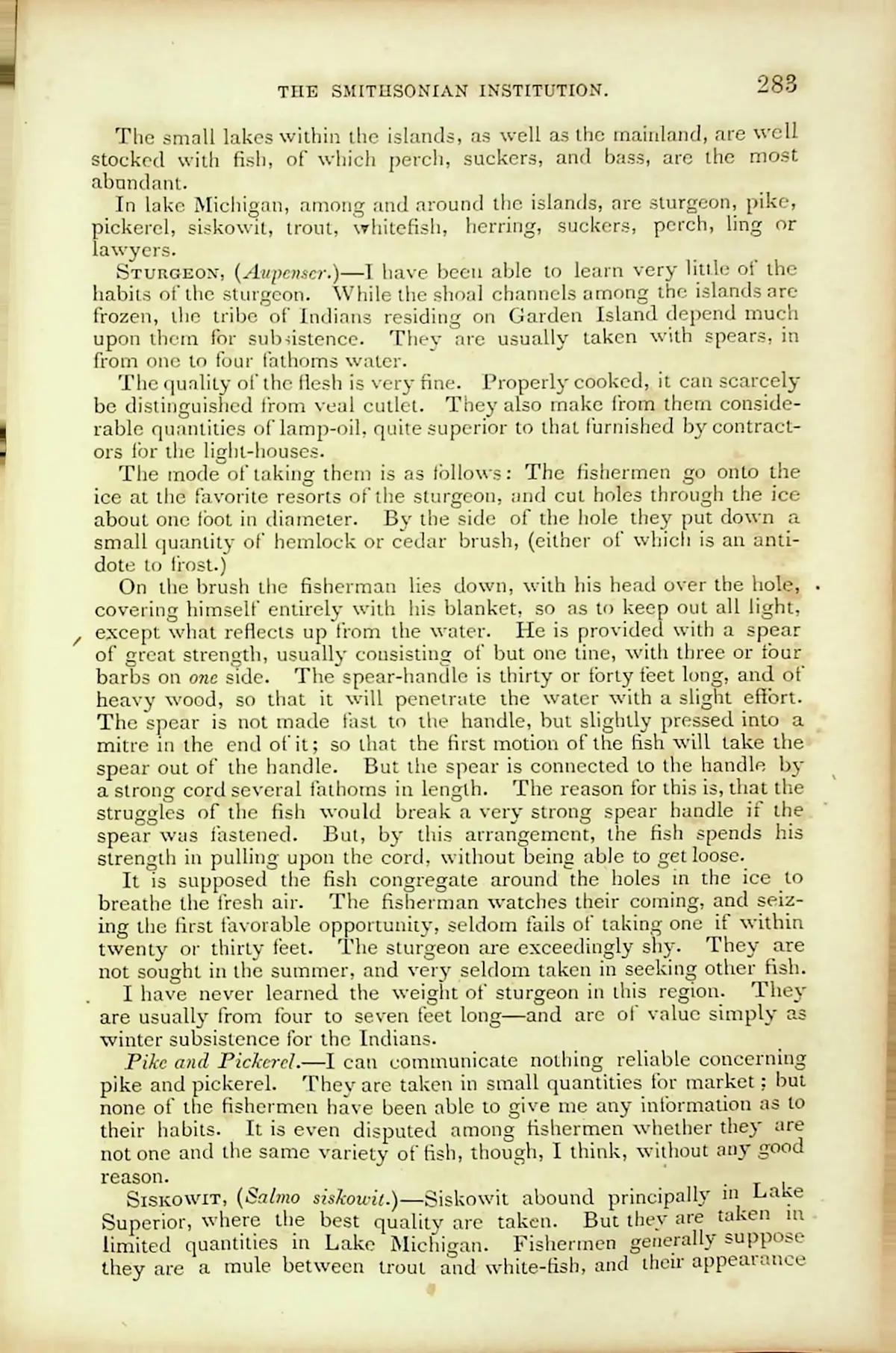 Scanned book page discussing fish, sturgeon, and fishing through ice.