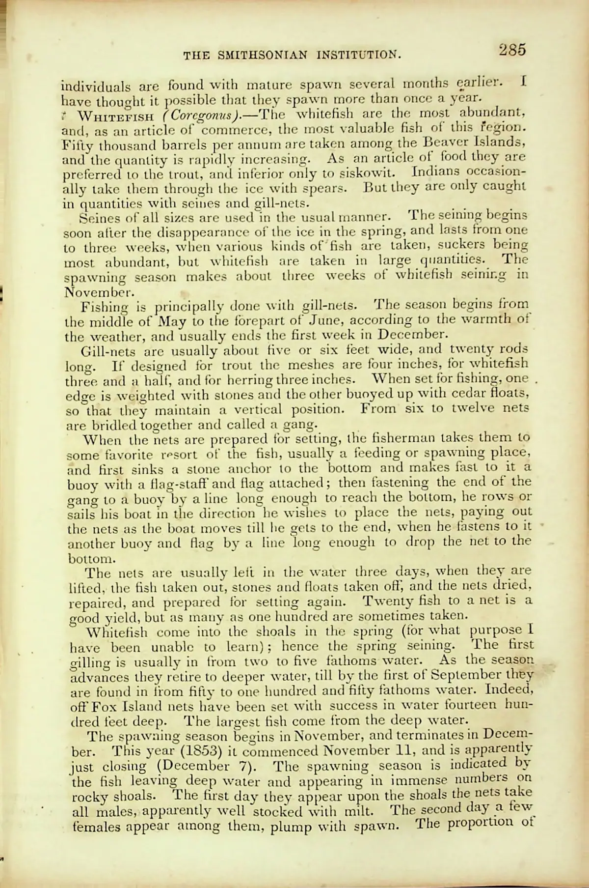 Photograph of a printed book page about whitefish and fishing methods.