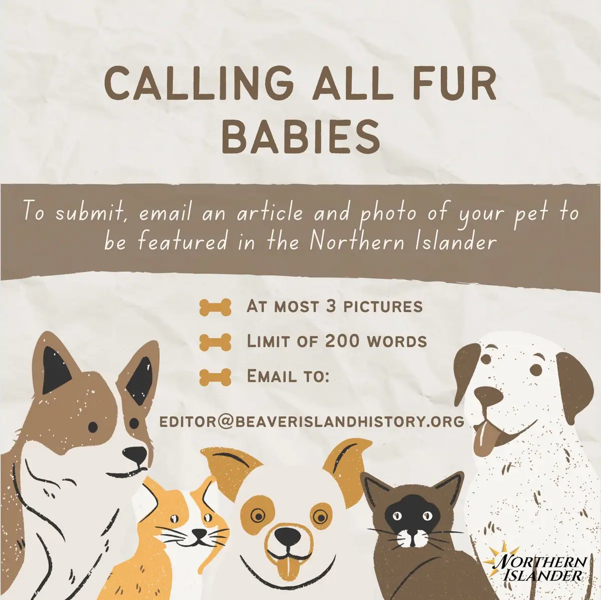 Illustrated poster inviting pet stories and photos, with drawings of three dogs and two cats.