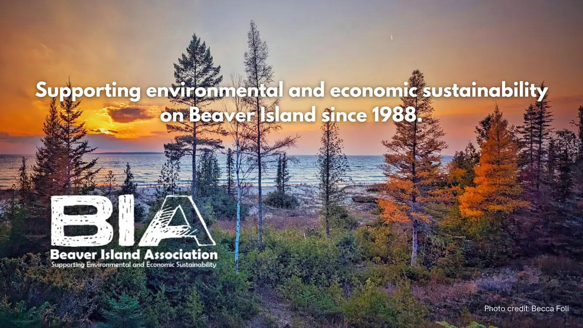 Sunset over a tree-lined shoreline with autumn foliage and large sustainability text.