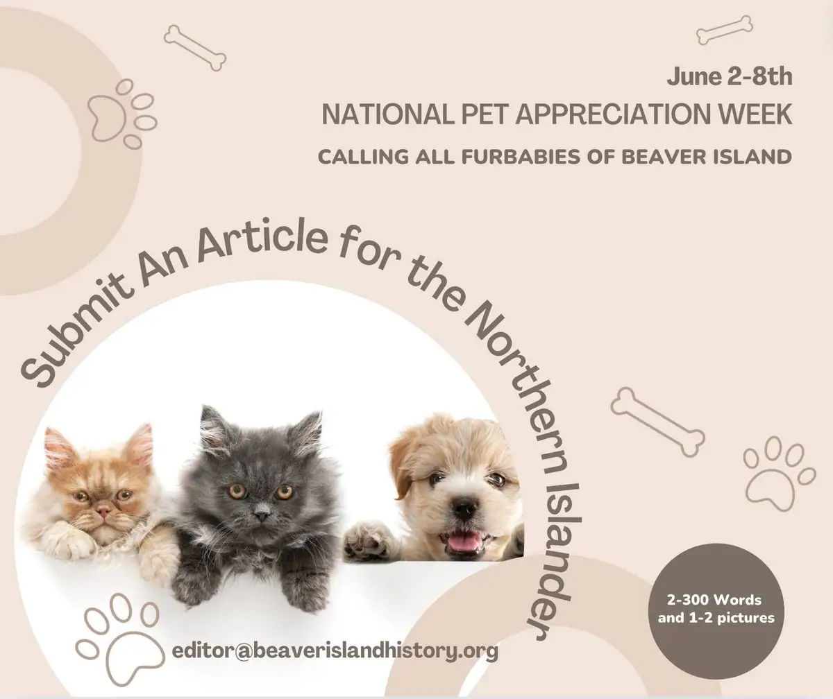 Promotional graphic featuring two kittens and a puppy with pet-submission instructions.