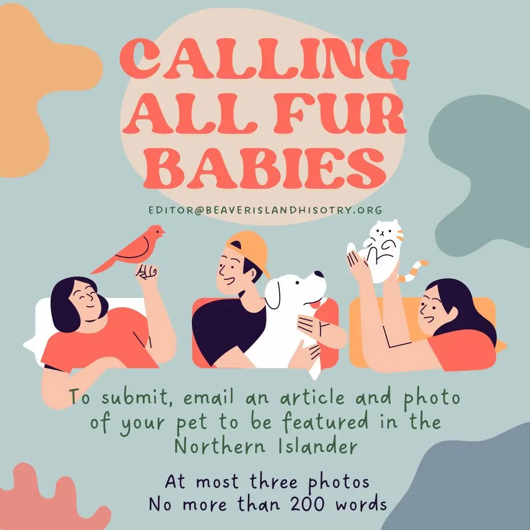 Illustrated poster showing three people with a bird, dog, and cat and inviting pet submissions.