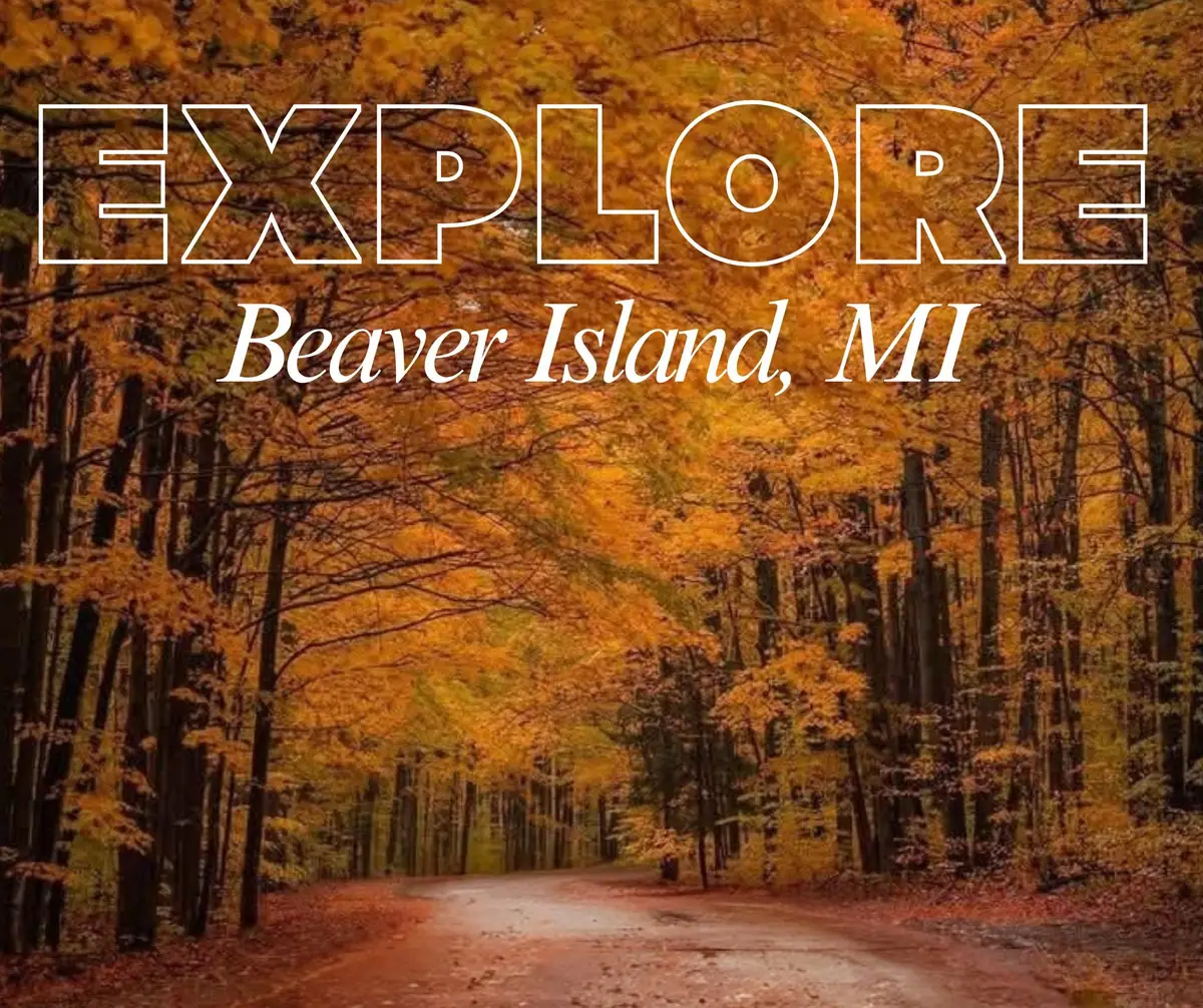 An autumn forest frames a curving unpaved road beneath large white promotional lettering.