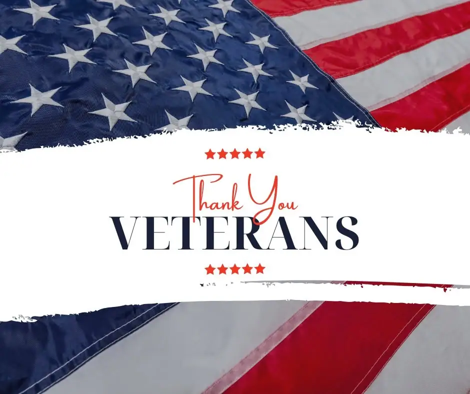 Graphic with an American flag background and the words “Thank You VETERANS.”