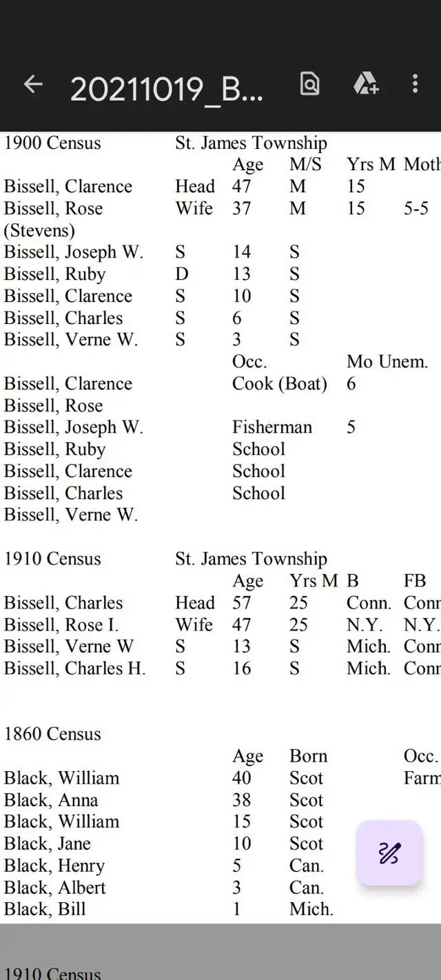 Screenshot of census tables listing household members, ages, occupations, and places of birth.