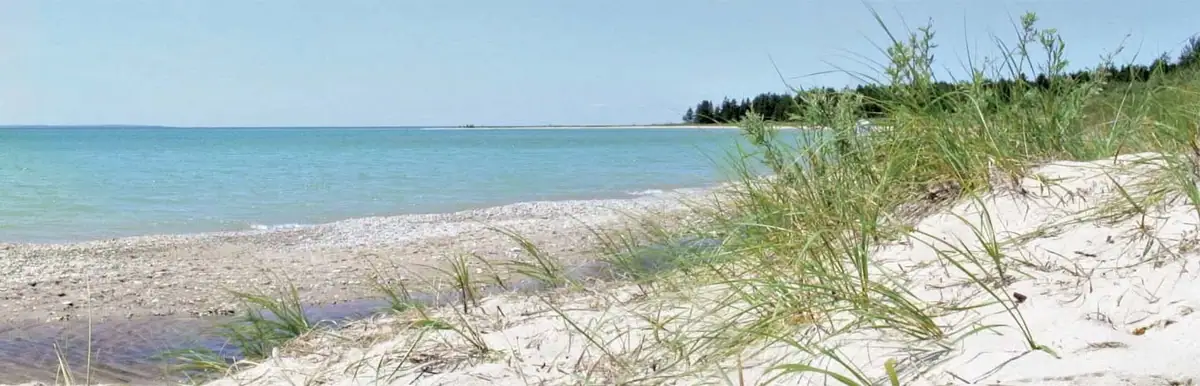 A sandy, grass-covered shoreline borders calm blue water with a wooded strip visible in the distance.