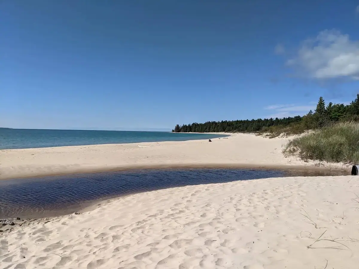 A sandy shoreline with a dark inlet, footprints, grasses, and a dense tree line beneath a blue sky.