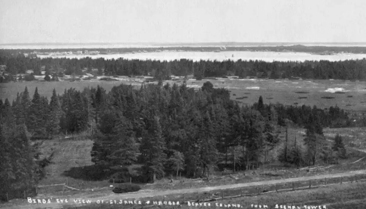 Elevated black-and-white view of a harbor, wooded shoreline, open meadows, homes, and a road.