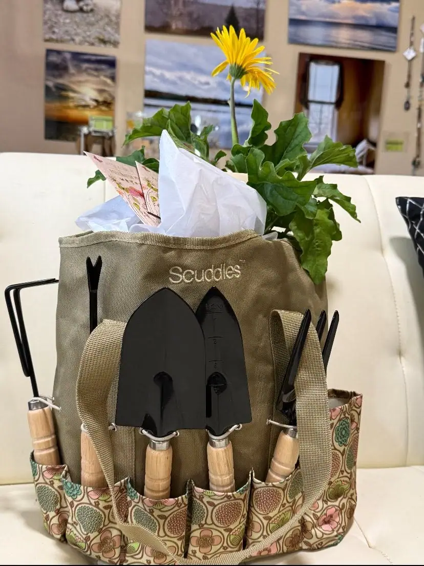 A gardening-tool bag holds a leafy flowering plant, with framed images visible on the wall behind it.