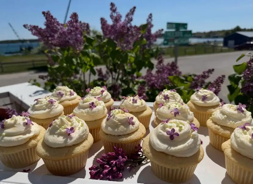Cupcakes topped with white frosting and purple flowers sit on a tray beside blooming lilacs and a green sign.