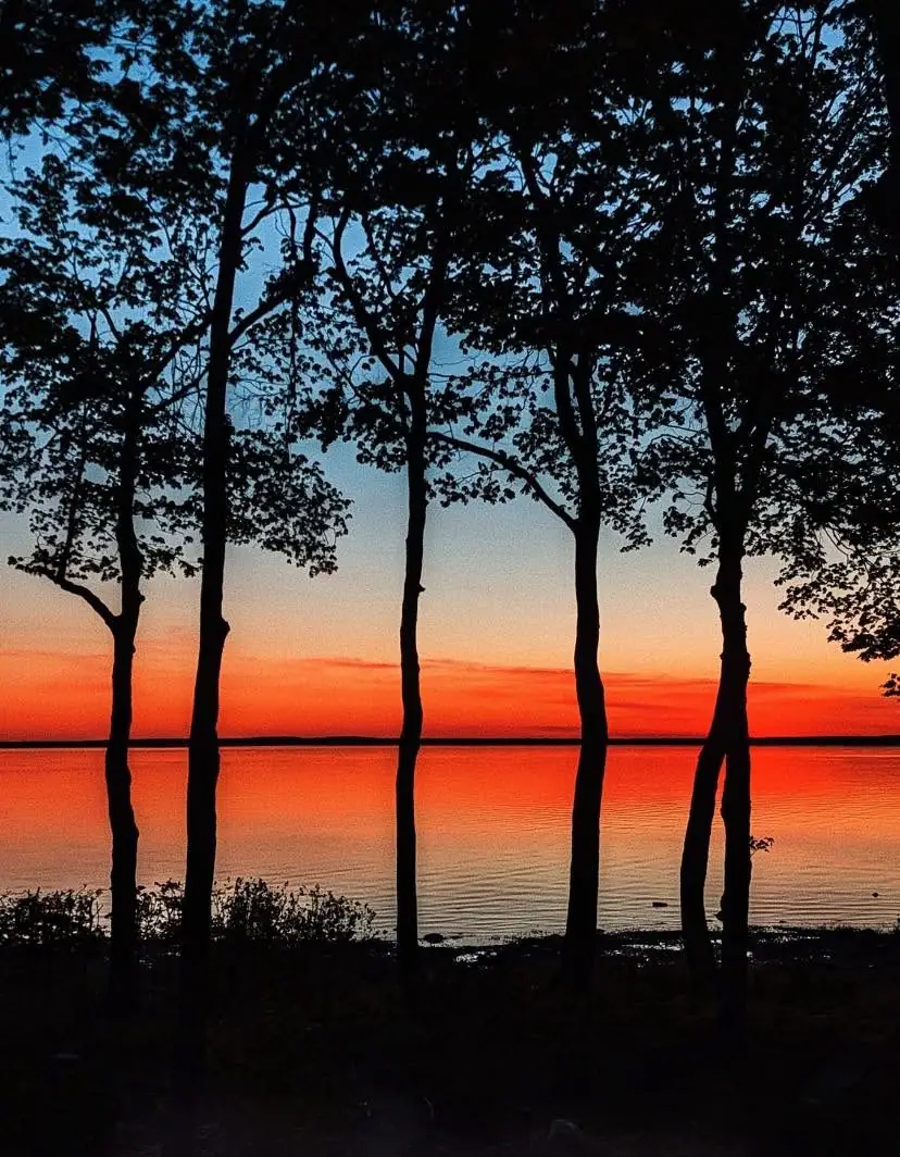 Silhouetted trees frame a vivid orange sunset over calm water.