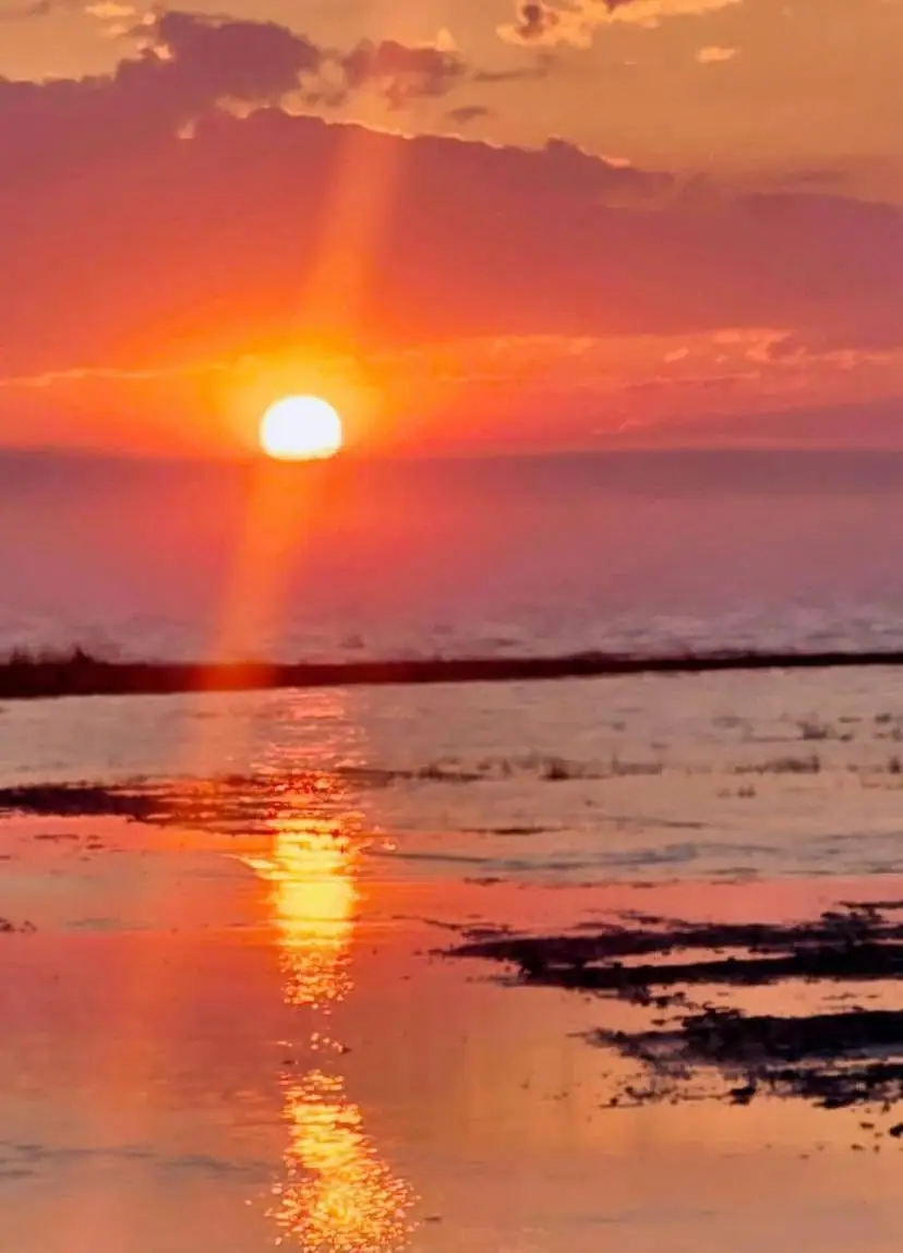 A low orange sun casts a bright reflection across shallow water beside a dark shoreline.