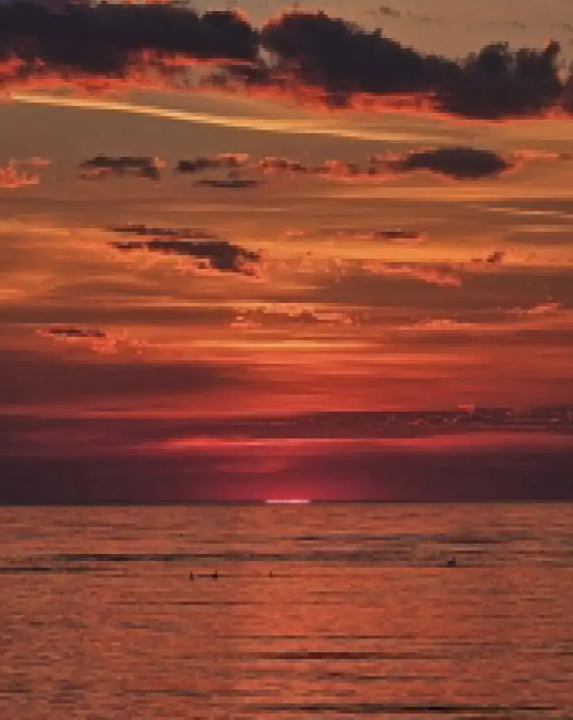 Red-orange sunset light reflects across rippled water beneath a dark tree-lined shore.
