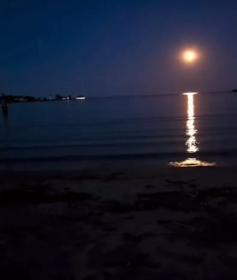 A full moon casts a bright reflection across calm water beside a dark shoreline and beach.