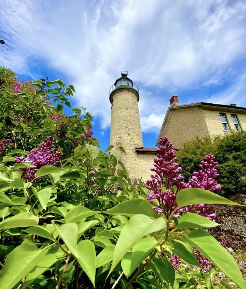 A cylindrical lighthouse and adjoining building rise behind blooming lilacs under a cloudy blue sky.