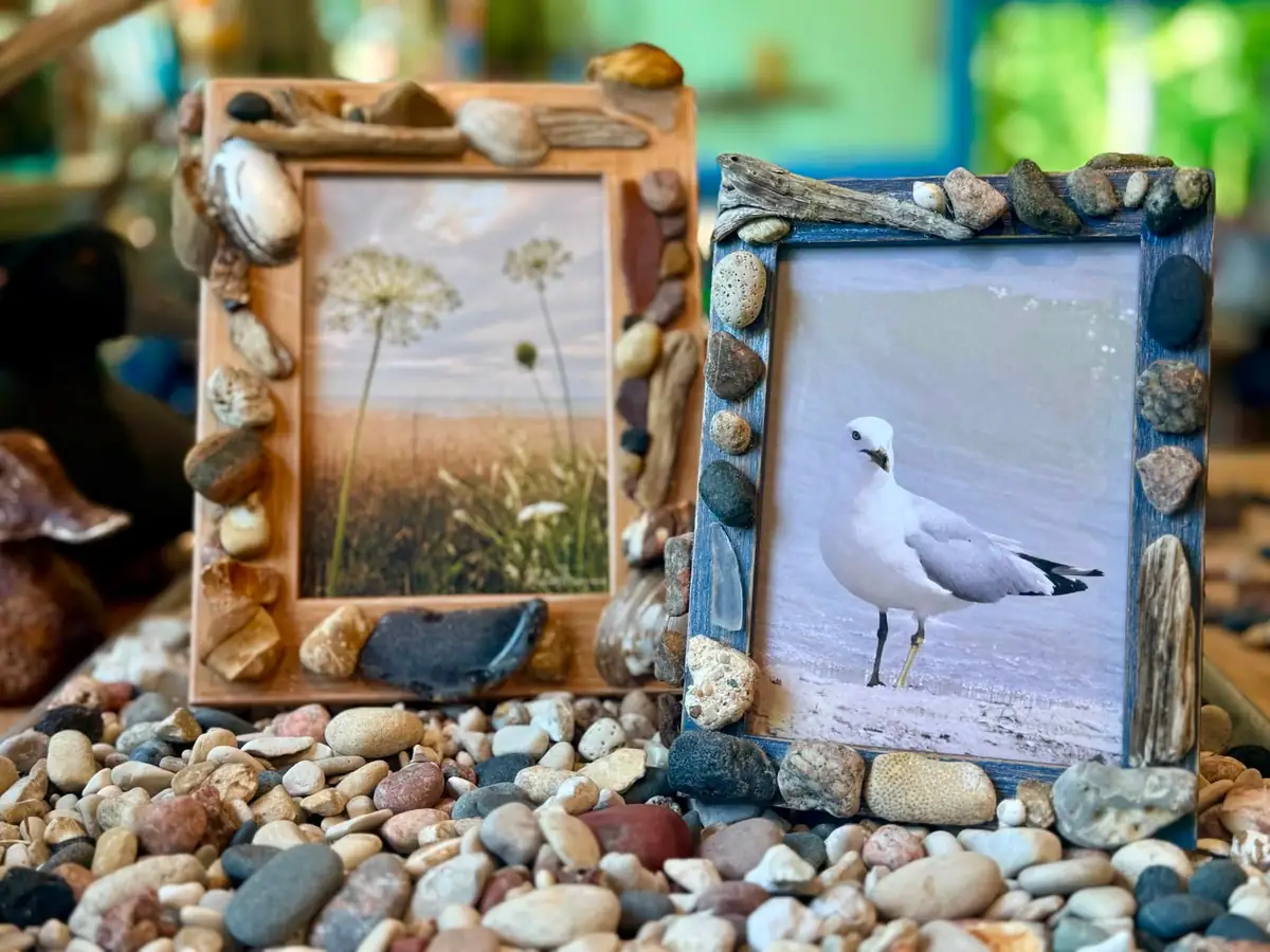 Two stone-decorated picture frames display a flower photograph and a photograph of a gull on a beach.