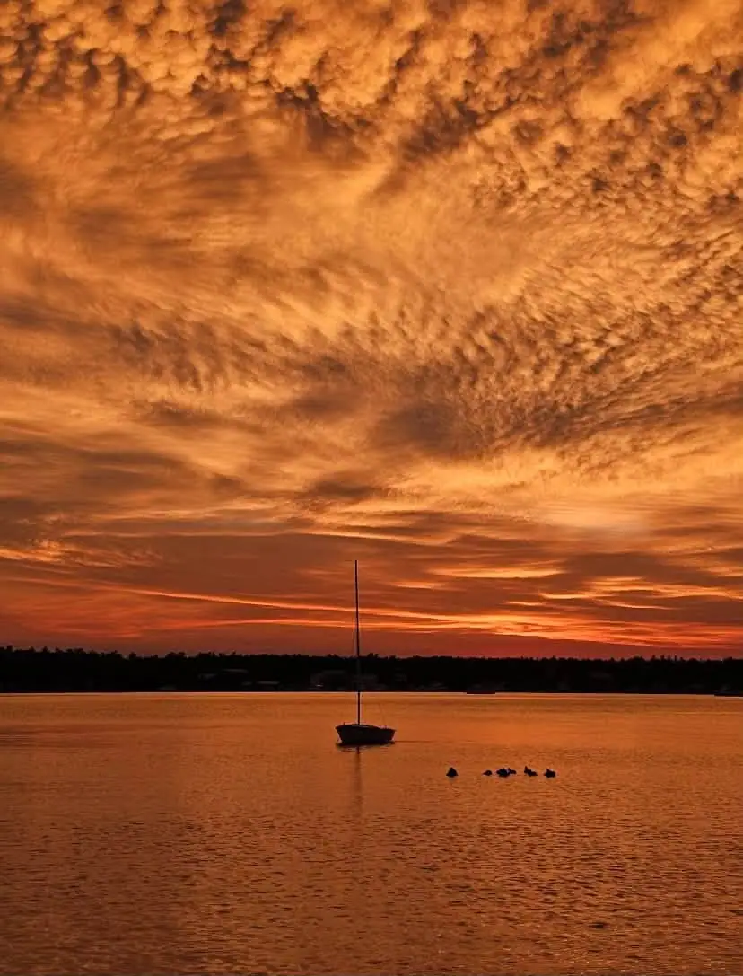 A sailboat and a small group of birds silhouetted against a vivid orange sunset.