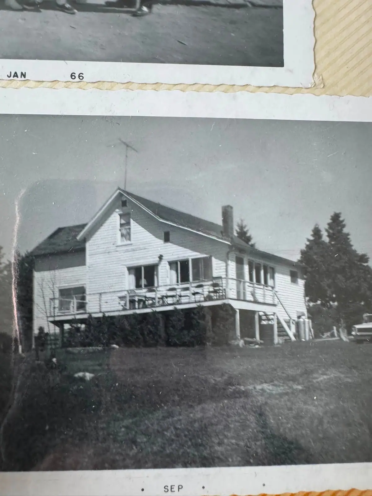 Black-and-white photograph of a wood-sided house with a raised porch, chimney, yard, and evergreen trees.