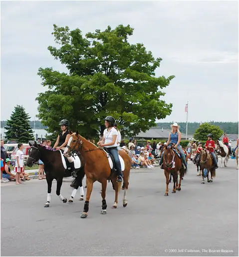 Mounted riders proceed along a paved street past seated spectators beneath a large leafy tree.