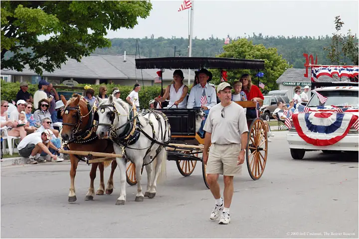 A horse-drawn wagon and bunting-decorated car move past spectators during a street parade.