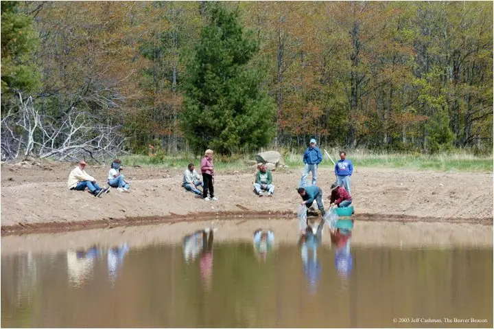 People work along the muddy edge of a small pond beside a forest in autumn.