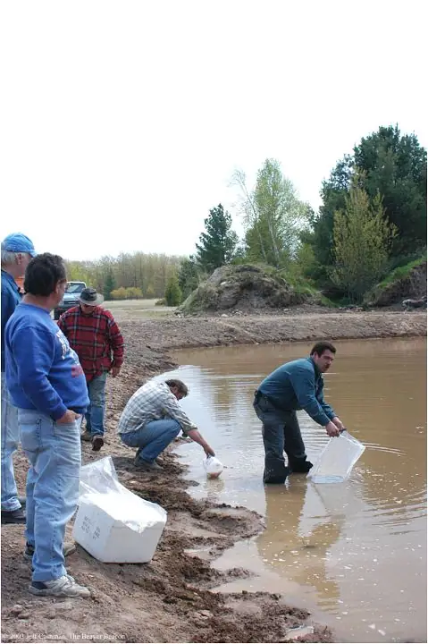 Five men work beside a muddy pond, handling clear plastic bags and a white container.