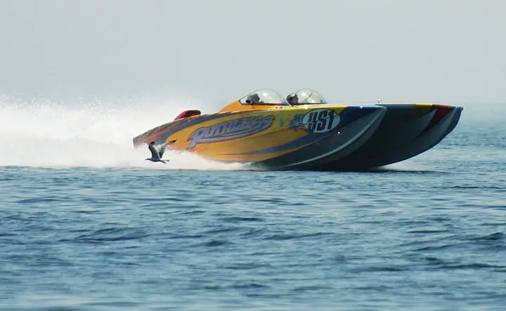 A brightly colored speedboat speeds across the water, throwing up spray as a bird flies alongside.