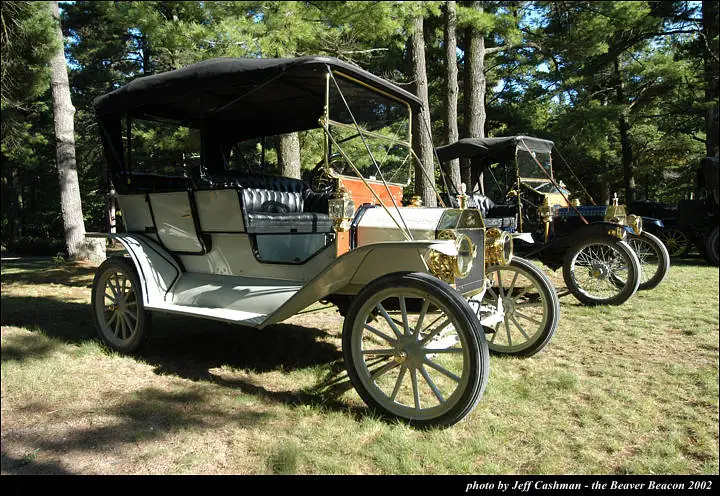 Antique touring cars displayed on grass beneath tall pine trees.